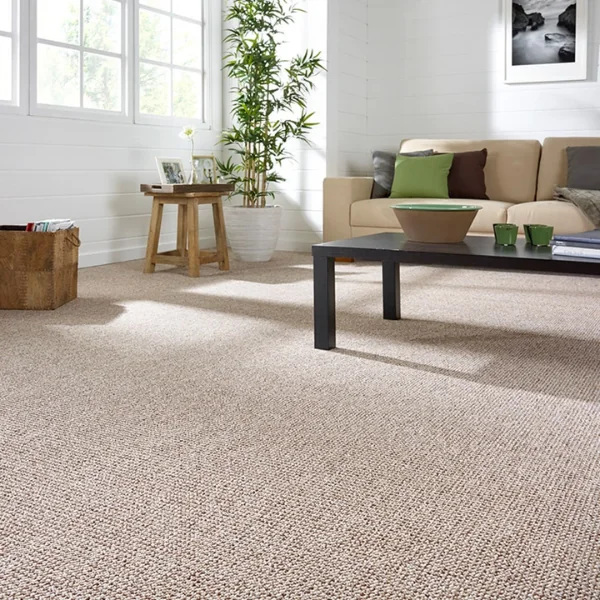 Neutral beige carpet in a bright, modern living room